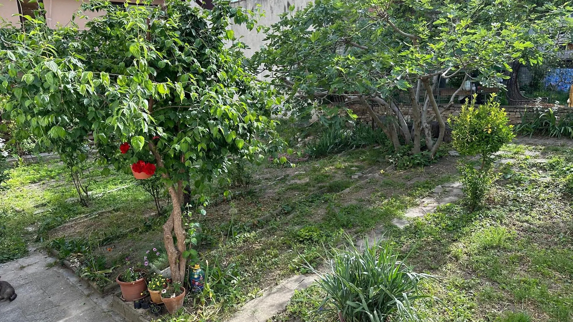 Romantic City Central Apartment Varna